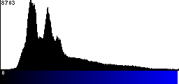 Blue Histogram