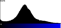 Blue Histogram
