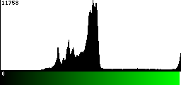 Green Histogram