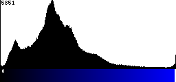 Blue Histogram