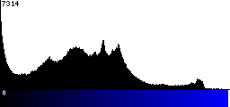 Blue Histogram