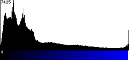 Blue Histogram