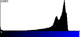 Blue Histogram