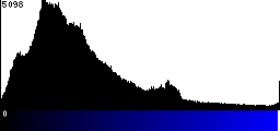 Blue Histogram