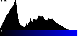 Blue Histogram