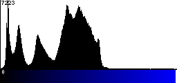 Blue Histogram