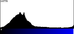 Blue Histogram