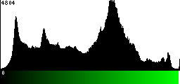 Green Histogram