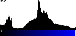 Blue Histogram