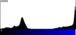 Blue Histogram