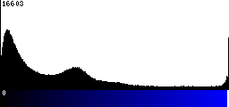 Blue Histogram