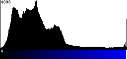 Blue Histogram