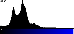 Blue Histogram