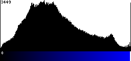 Blue Histogram