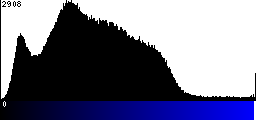 Blue Histogram