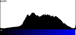 Blue Histogram