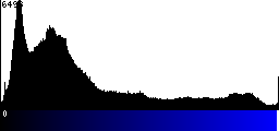 Blue Histogram