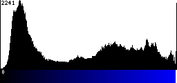 Blue Histogram