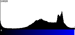 Blue Histogram