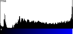 Blue Histogram