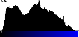 Blue Histogram