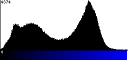 Blue Histogram