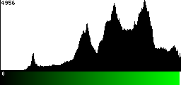 Green Histogram