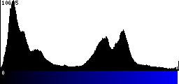 Blue Histogram