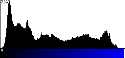 Blue Histogram