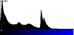 Blue Histogram