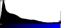 Blue Histogram