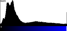Blue Histogram