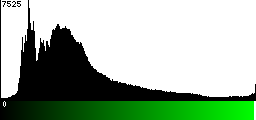 Green Histogram
