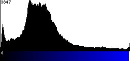 Blue Histogram