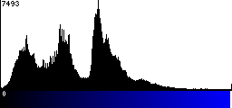 Blue Histogram