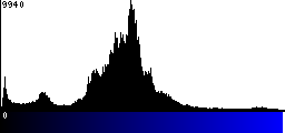 Blue Histogram
