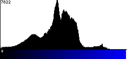 Blue Histogram
