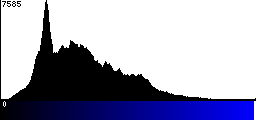 Blue Histogram