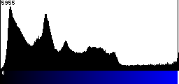 Blue Histogram
