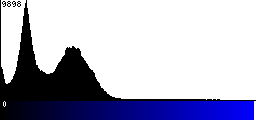 Blue Histogram
