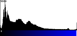 Blue Histogram