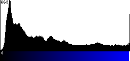 Blue Histogram