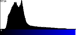 Blue Histogram
