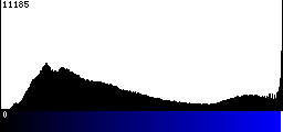 Blue Histogram