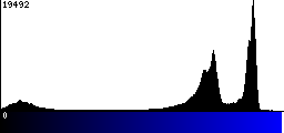 Blue Histogram