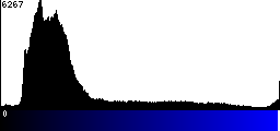 Blue Histogram