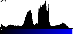 Blue Histogram