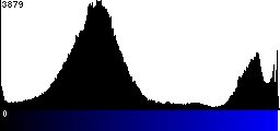 Blue Histogram