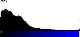Blue Histogram