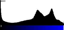 Blue Histogram